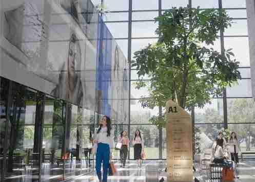 糖果派对光电简介